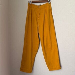 Big Bud Pant in Spicy Mustard Color